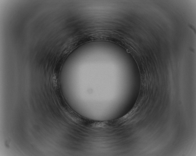 X0000091970086200709061140