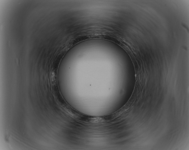 X0000091970087200709061140