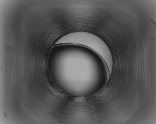 X0000091970088200709061140