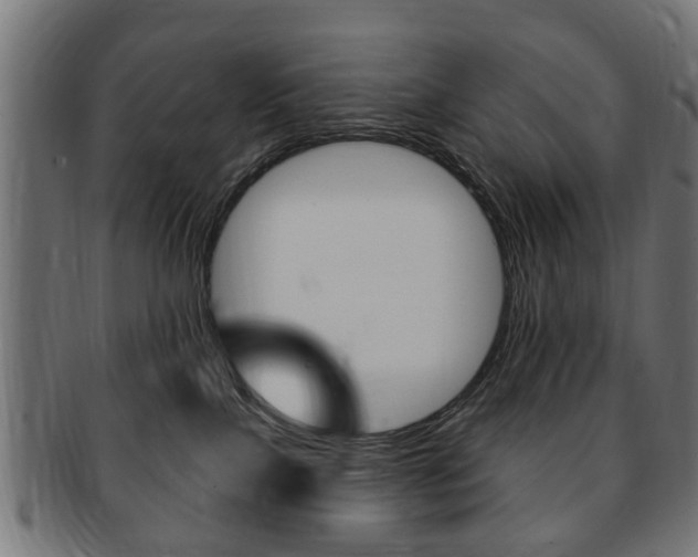 X0000091970089200709061140