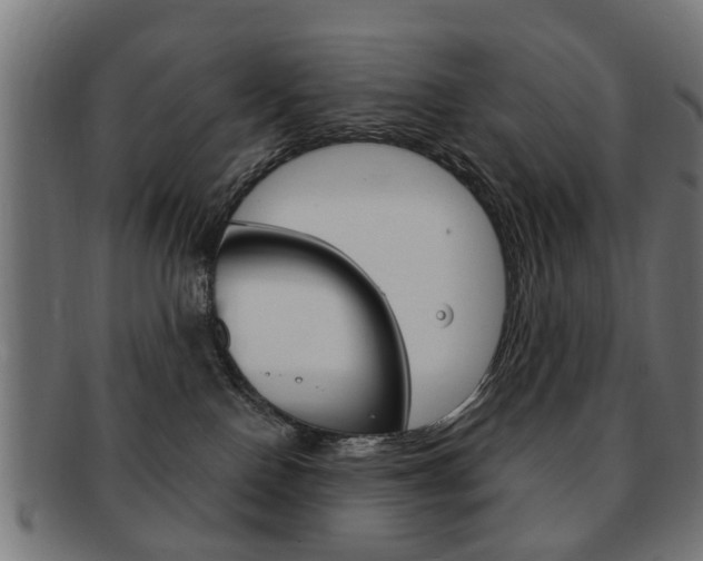 X0000091970090200709061140