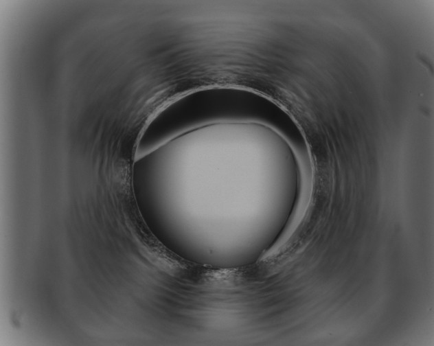 X0000091970092200709061140
