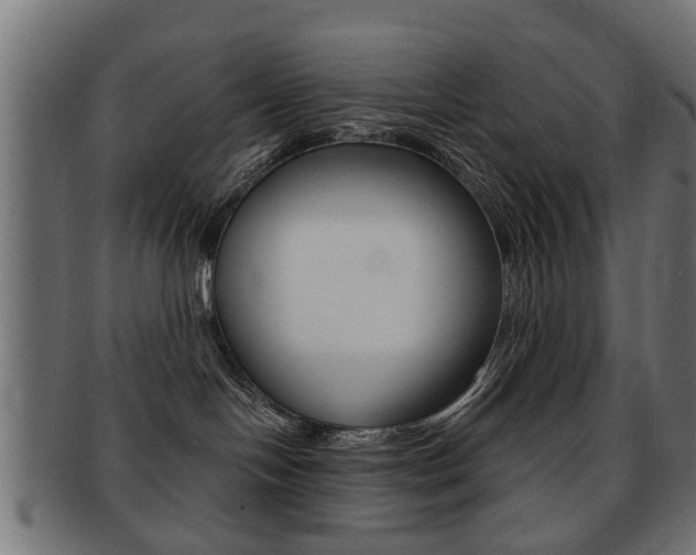 X0000091970094200709061141