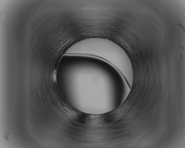 X0000091970095200709061141