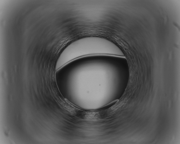 X0000091970096200709061141