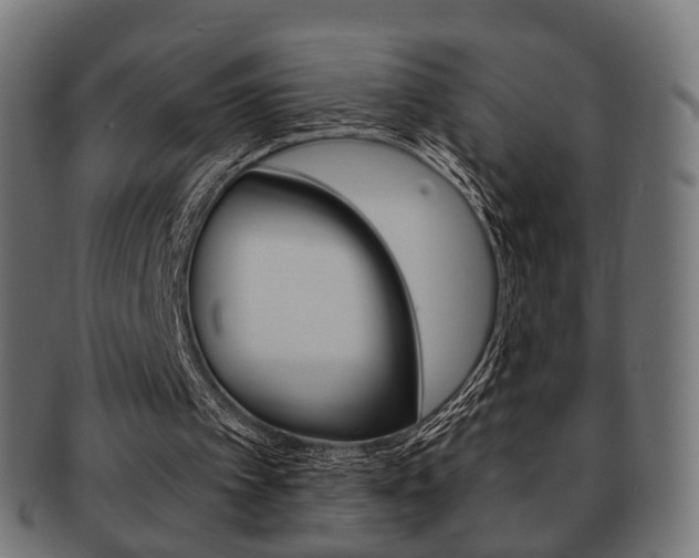 X0000091970097200709061140