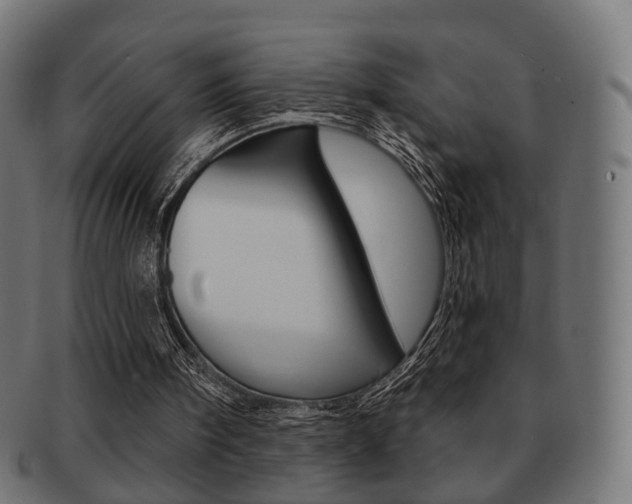 X0000091970098200709061140