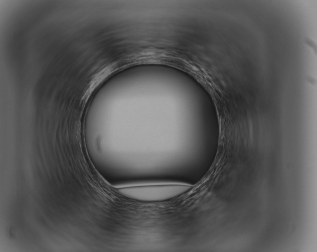 X0000091970099200709061140