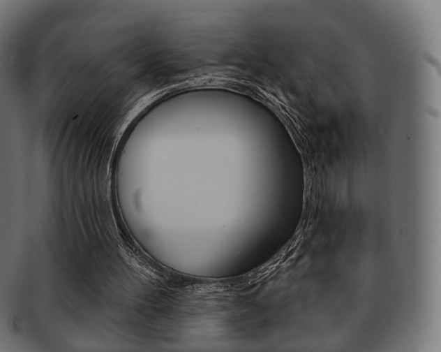 X0000091970100200709061140