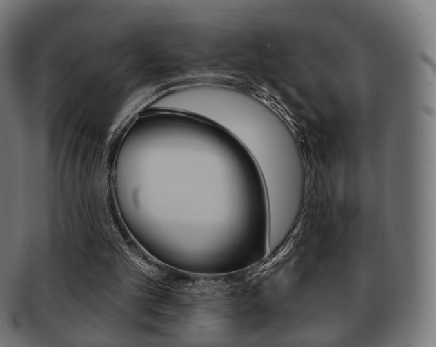 X0000091970101200709061140