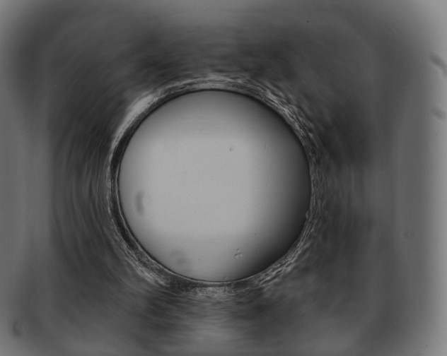 X0000091970102200709061140