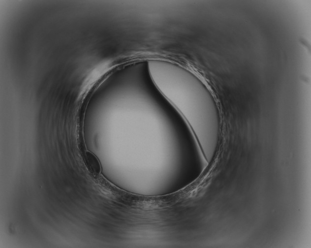 X0000091970103200709061140