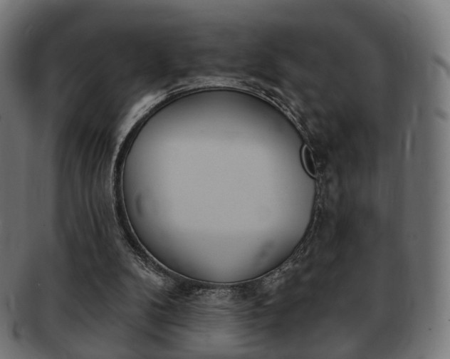 X0000091970104200709061140