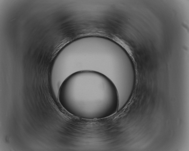 X0000091970105200709061140