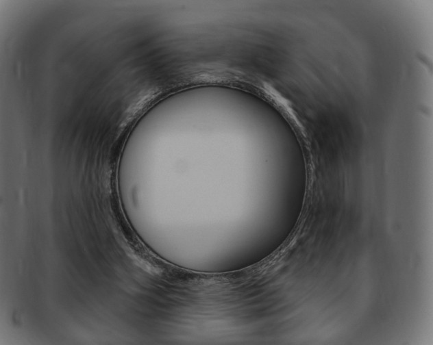 X0000091970106200709061140