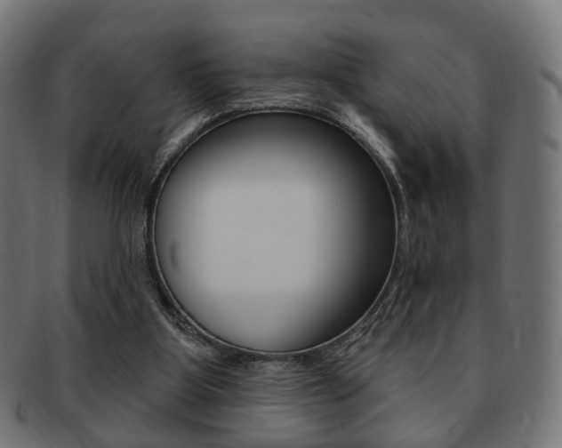 X0000091970107200709061140