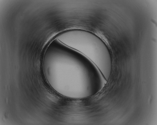 X0000091970108200709061140
