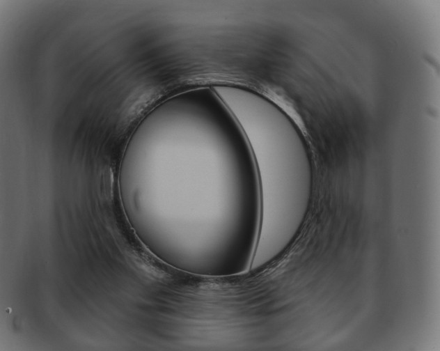X0000091970109200709061140