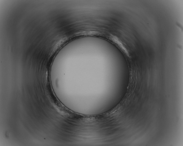 X0000091970110200709061140