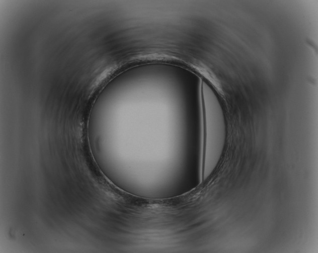 X0000091970111200709061140