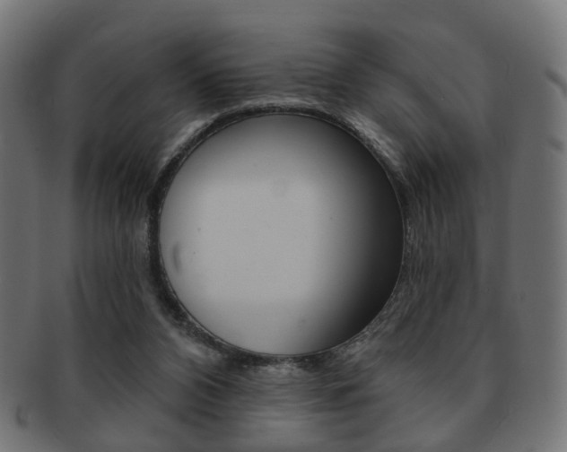 X0000091970112200709061140