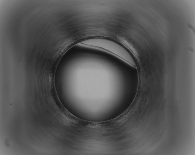 X0000091970113200709061140
