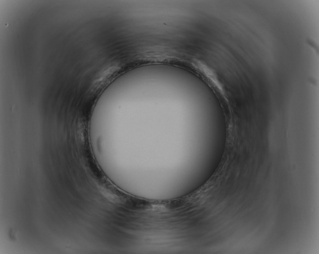 X0000091970114200709061140