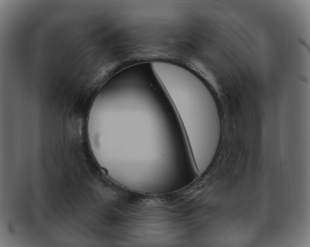 X0000091970115200709061140