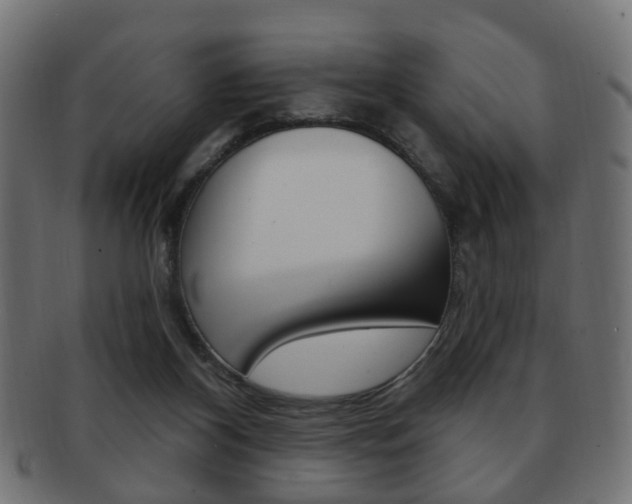 X0000091970116200709061140