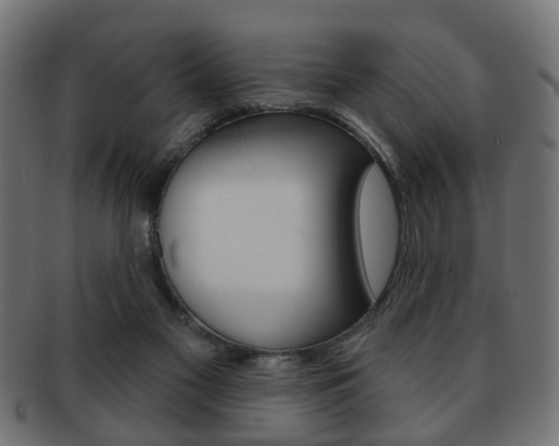 X0000091970117200709061140