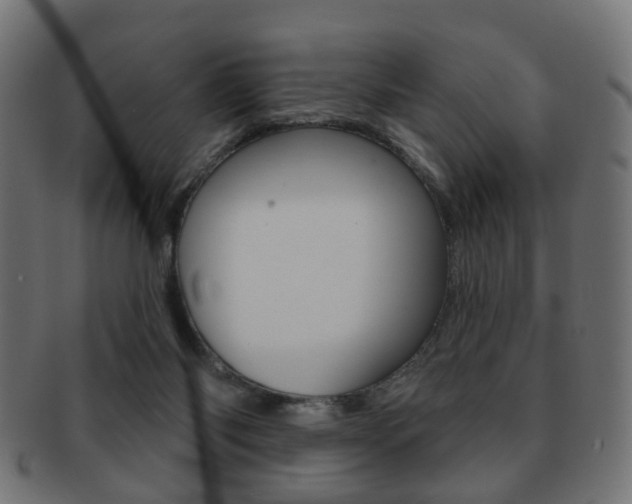 X0000091970118200709061140