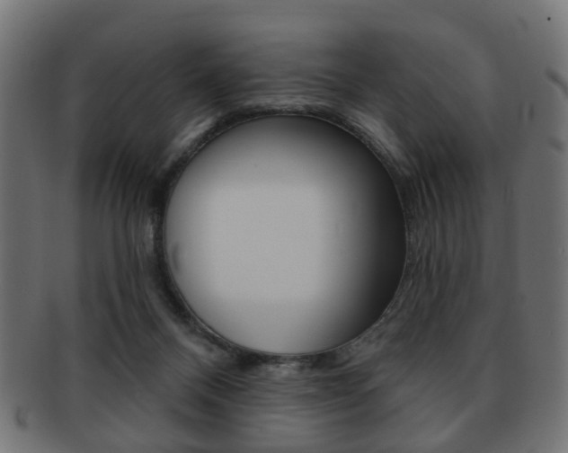 X0000091970120200709061140