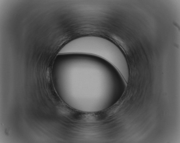 X0000091970121200709061140