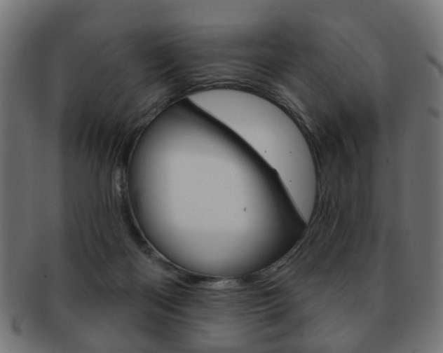 X0000091970122200709061140