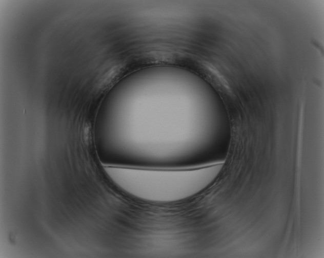 X0000091970123200709061140