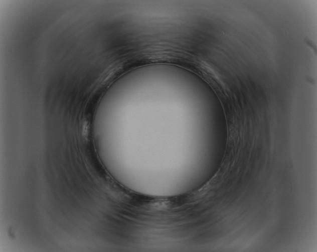 X0000091970124200709061140