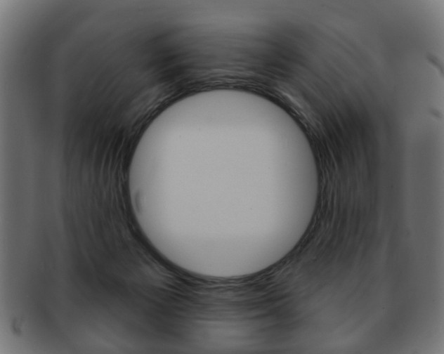 X0000091970125200709061139