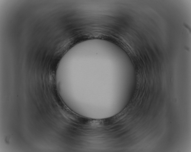 X0000091970126200709061139