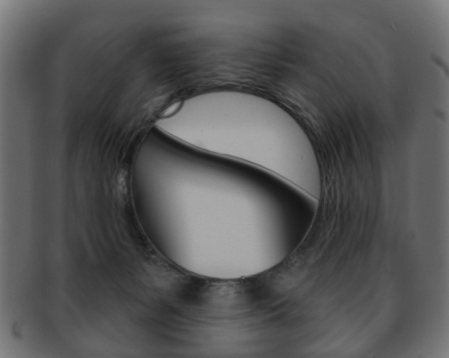 X0000091970127200709061139