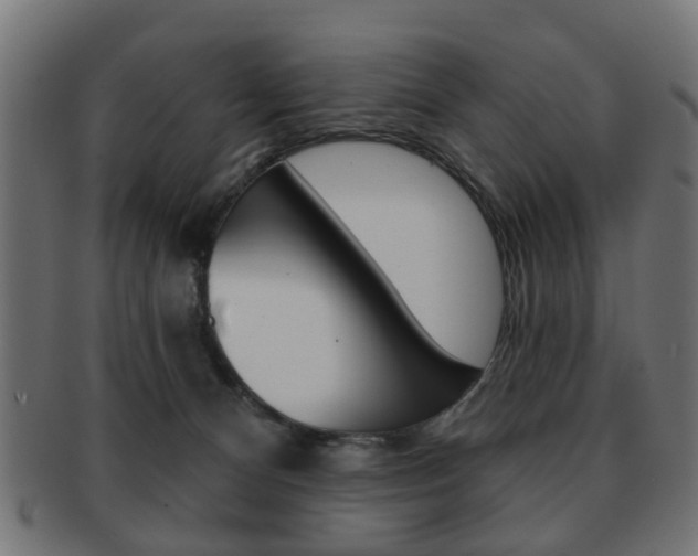 X0000091970128200709061139