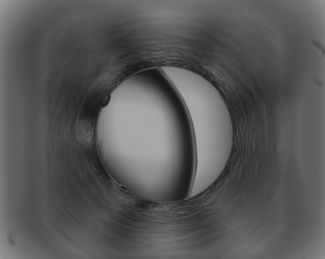 X0000091970129200709061139