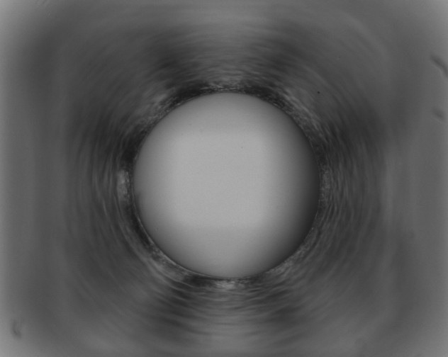 X0000091970130200709061139