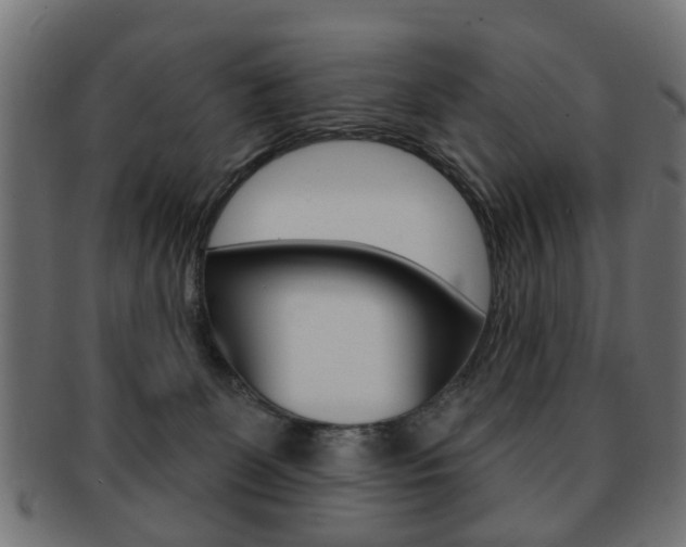 X0000091970131200709061139