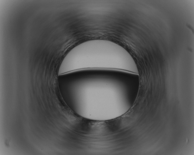X0000091970132200709061139