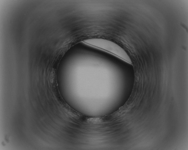 X0000091970133200709061139