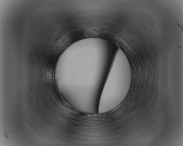 X0000091970134200709061139