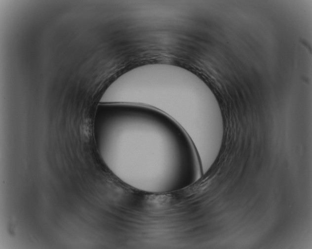 X0000091970135200709061139