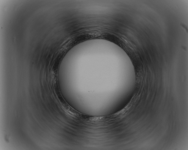 X0000091970136200709061139
