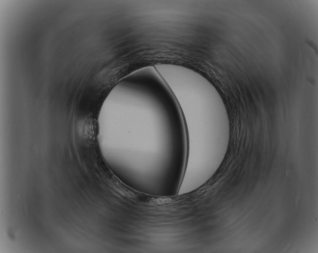 X0000091970137200709061139