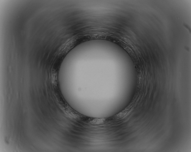 X0000091970138200709061139